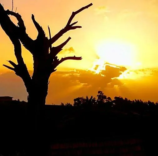 Holiday home Casa Benedita Ponta do Pargo