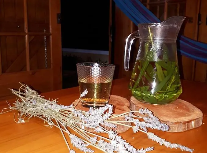 Casa Benedita Holiday home *