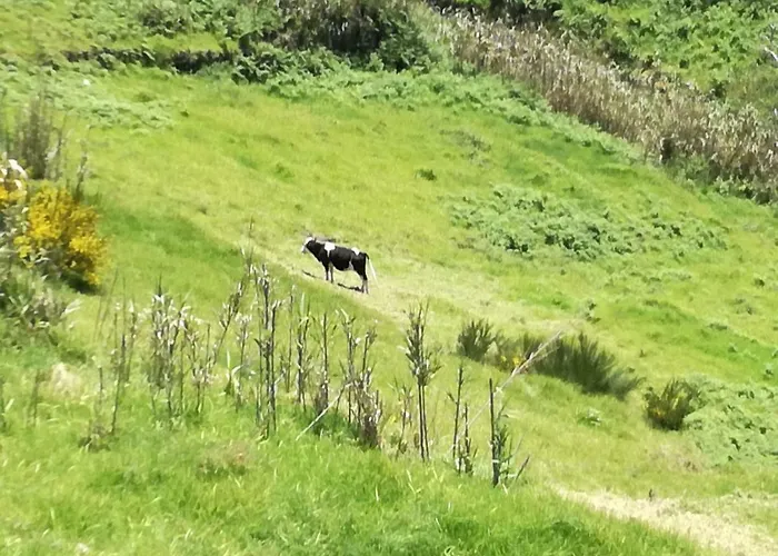 Casa Benedita * Ponta do Pargo