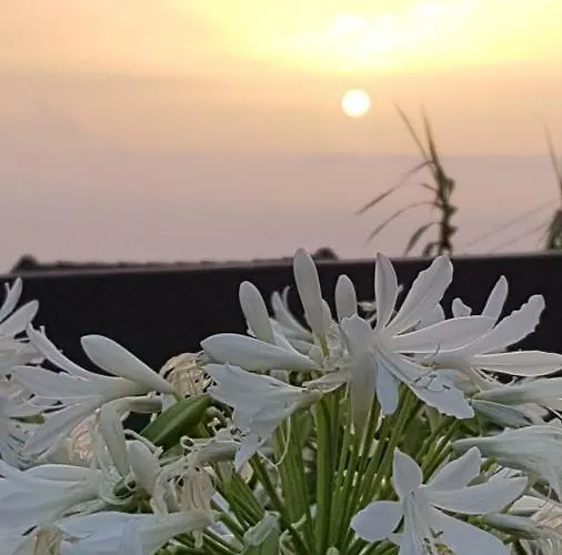 Casa Benedita * Ponta do Pargo