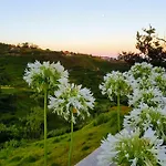Casa Benedita Vakantiehuis *