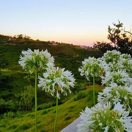 Casa Benedita Casa de Férias *
