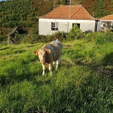 Casa Benedita Hébergement de vacances