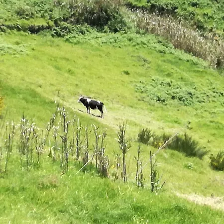 Casa Benedita * Ponta do Pargo