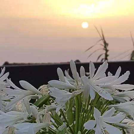 Casa Benedita * Ponta do Pargo