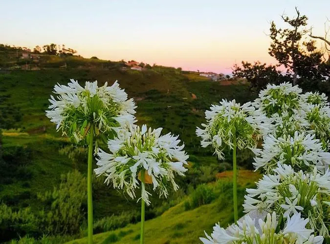 Casa Benedita Holiday home *